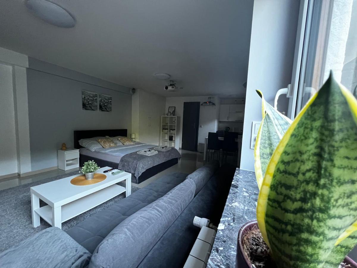 Apartament Play Pietrzykowice  Esterno foto